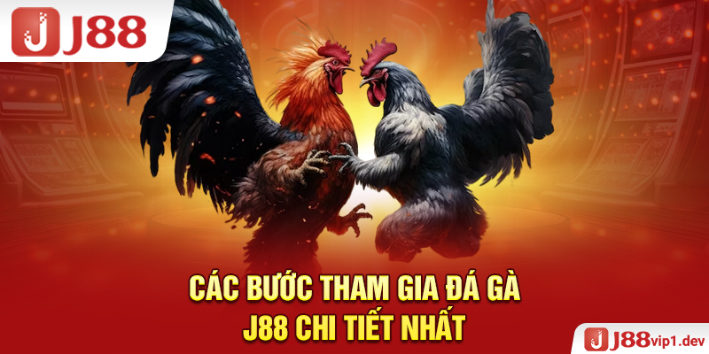 Các Bước Tham Gia Đá Gà J88 Chi Tiết Nhất